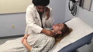 cardiovascular exam