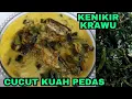Download Lagu MEMASAK IKAN CUCUT SAPIT KUAH SANTAN PEDAS DAN KULUP DAUN KENIKIR  BUMBU BAWANG KENCUR KELAPA MUDA