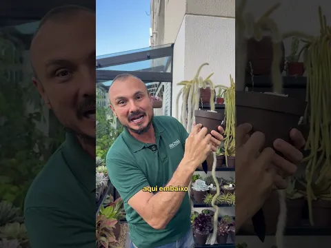 Nunca mais ERRE na hora regar suas plantas #shorts