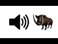 Download Lagu Wild Boar Sounds - Sound Effect | ProSounds