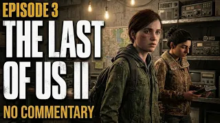 Episode 3 We Discovered Eugene's Secret Hideout in The Last of Us 2