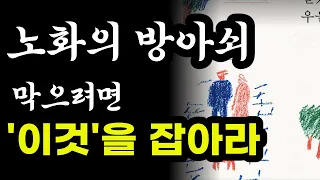 노화의 방아쇠가 되는 이것 반드시 해결해야합니다