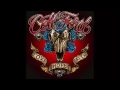 Colt Ford - My Truck (feat. Tyler Farr)