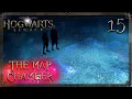 Is Professor Fig Evil - Hogwarts Legacy