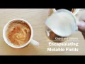 Encapsulating mutable fields in a Java class