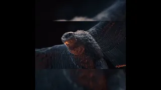 نوال الكويتي كنا واحد FawazALBishi24 نوال الكويتية Fz 4790 