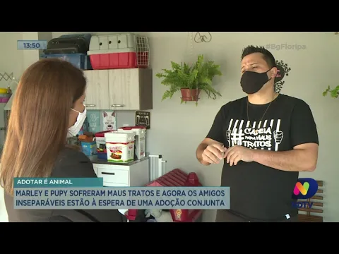 Marley e Pupy sofreram maus tratos e estão à espera de uma adoção conjunta