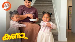 Daily Vlog EP.182 | കണ്ടാ  |  Family Vlog | Twin Parenting | Malayalam | @BoomBaangh