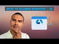How to scroll an element into view in Selenium