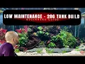 Aquascaping For Beginners - Low Maintenance 20g Tank Build