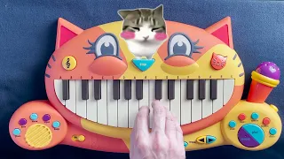 Dam Dam DidiDidi Cat Meme On A Cat Piano & How to Play It