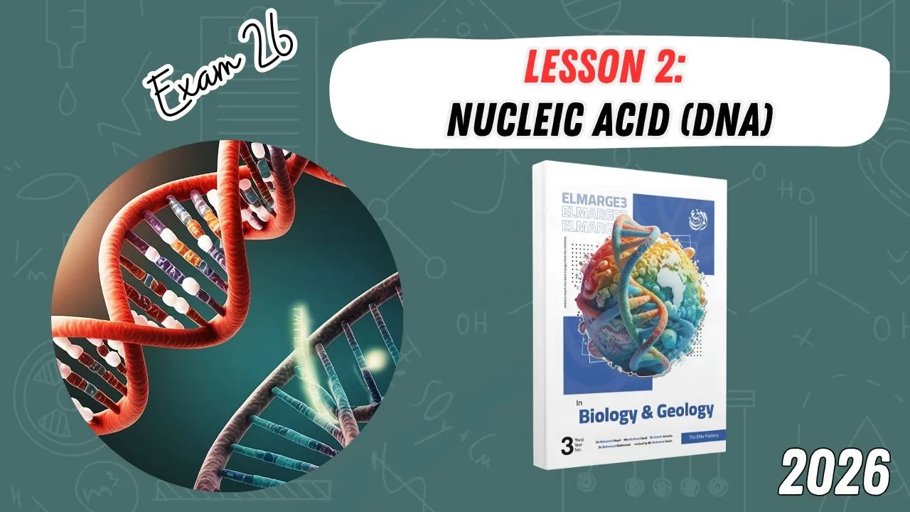 CHAPTER 5 | Lesson 2 | ELMARGE3 | Structure and replication of DNA | Exam 26