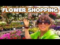Flower shopping at the NEW Meadows FARM Nursery