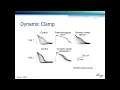 Patch Clamp Dynamic Clamp and Cross Experiment Analysis