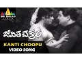 Download Lagu Jeevitha Chakram Video Songs | Kanti Choopu (Male) Video Song | NTR, Vanisri | Sri Balaji Video