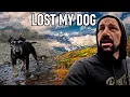 Lagu THE WILD TOOK MY DOG 🐾| I Lost My Best Friend: The Day Živko Didn't Come Back 😢