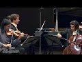 Download Lagu Lugansky . Capuçon . Kavakos - Brahms Piano Trio No. 1