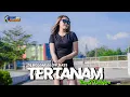 Download Lagu Embedded DJ (Reggae Mix Jaranan) FIKO 88 CHANNEL |  NEW VIRAL REMIX 2022