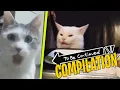 Lagu TO BE CONTINUED COMPILATION (Funny Animal Fails)
