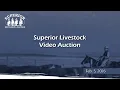Lagu Superior Livestock Auction - 2/5/2026