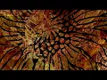 My Bloody Valentine ~ Honey Power