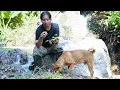 Download Lagu Harvesting Wild Yams \u0026 Wild Fruits: Survival Alone | EP.494