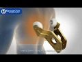 Cozzia CZ-629 Massage Chair Demonstration