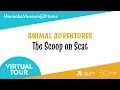 Animal Adventures The Scoop on Scat