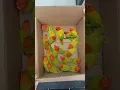 Download Lagu Lovebirds Unboxing! | Beautiful Viral Lovebirds! 🦜🥰 #birds #lovebirds