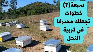 سبعة خطوات تجعلك محترفا في تربية النحل تعلم تربية النحل في أربعة دقائق Beekeeping 