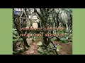 Download Lagu Sweet To Me - Summer Salt (lyrics)