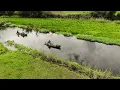 Download Lagu Regge - a small friendly meandering river
