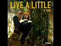 Live a Little (ACOUSTIC MIX)