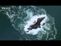 Ambient Music for Concentration, Deep Work & Calm — Gideon Matthew