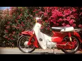 Restoring a Free Honda C70 from Craigslist
