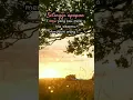 Download Lagu Quotes || Kata kata bijak singkat bermakna || Kata mutiara Islami || Nasehat hidup #shortvideo