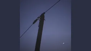 جلوی چشمانم دندنها