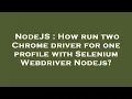 NodeJS How run two Chrome driver for one profile with Selenium Webdriver Nodejs