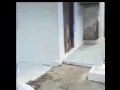 meme tik tok anjay