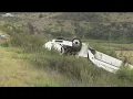 3 dead and 18 injured after bus rolls off freeway near SR-76