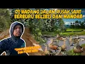 Download Lagu DI HADANG \