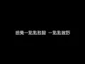 許美靜   都是夜歸人 無損音樂FLAC 歌詞LYRICS 純享