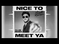 Niall Horan - Nice to Meet Ya (Club Remix)