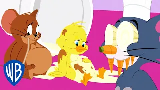 tom u0026 jerry food adventures wb kids