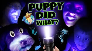 PET LIGHT DETECTOR Puppy in Trouble FUNnel V Fam Vlog