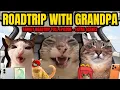 CAT MEMES ROADTRIP WITH GRANDPA FULL EPISODE SPECIAL