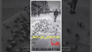 حالات واتساب استشهاد موسى إبن جعفر الكاظم باسم الكربلائي ستوريات انستا نغمة رنين حزينه 2021 