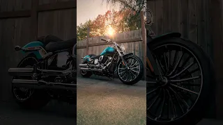 موفقیت ۲۰۲۶   هارلی دیویدسون  شورت دندنها