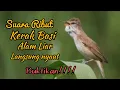 Download Lagu SUARA PIKAT DAN MASTERAN BURUNG KERAK BASI RIBUT ALAM LIAR