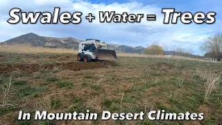 Download Swale + Water = Trees / How swales are built in high elevation mountain desert climate. MP3